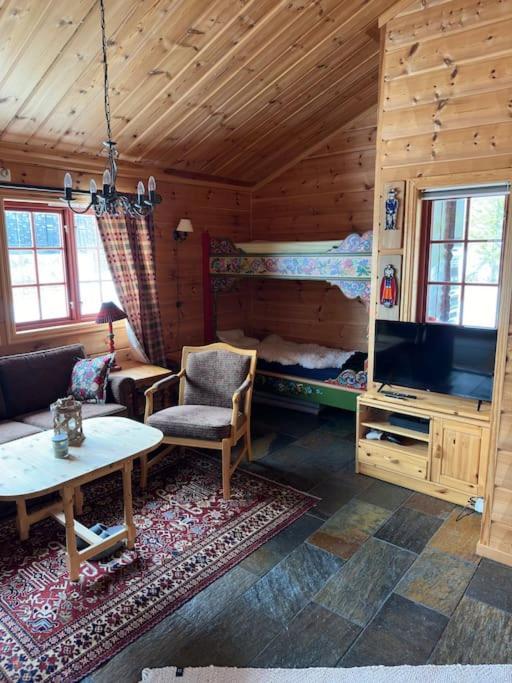 Hjartdal Hytte I Tuddalヴィラ エクステリア 写真